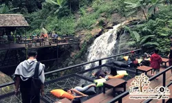 Jungle De Cafe ร้านกาแฟวิวน้ำตกสุดอลังการ นั่งชิลท่ามกลางธรรมชาติแบบฟินๆ