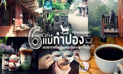 6 ร้านคาเฟ่แม่กำปองครองใจ บรรยากาศดีจนต้องหลงรัก สักครั้งต้องไปเช็คอิน