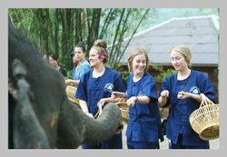 Thai Elephant Home: ท่องเที่ยวเชิงอนุรักษ์กับช้างน้อยสุดน่ารักที่เชียงใหม่