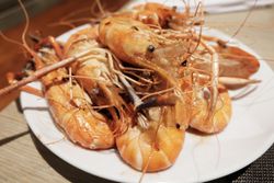 แฟนพันธ์ุแท้กุ้งแม่น้ำห้ามพลาด! บุฟเฟต์กุ้งเผา "Love River Prawn" @ The Square, Novotel Bangkok Platinum