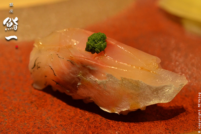 Shima Aji – Striped Horse Mackerel