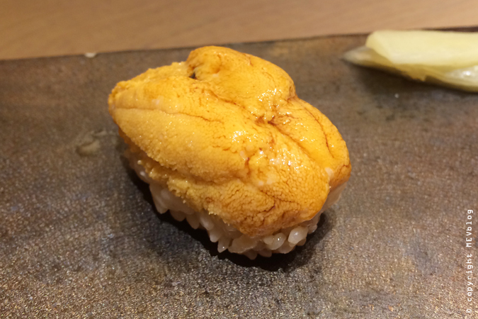 Uni - Sea Urchin