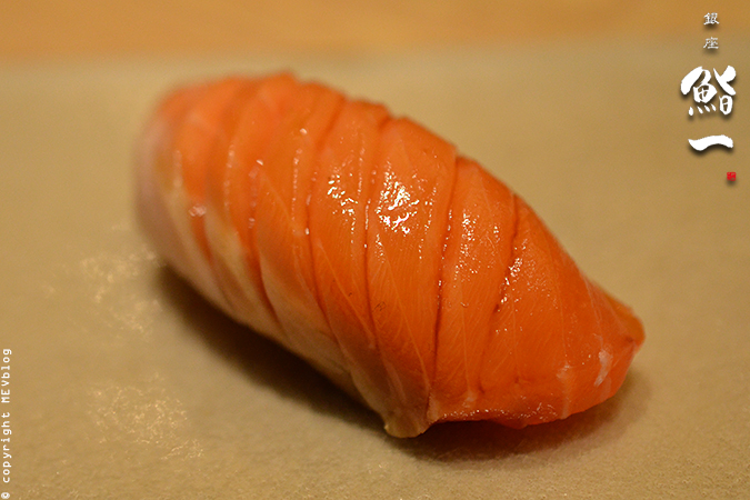 salmon