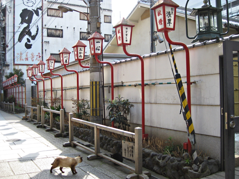 1. Hozenji Yokocho (4)_resize