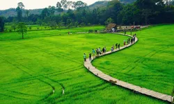 สะพานทุ่งนามุ้ย ที่เที่ยวใหม่วิวทุ่งนาที่มาแรงที่สุดในตอนนี้