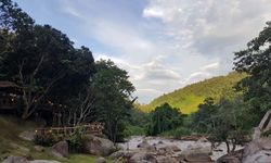 Cafe in wild คาเฟ่กลางป่าริมลำธารสุดชิล