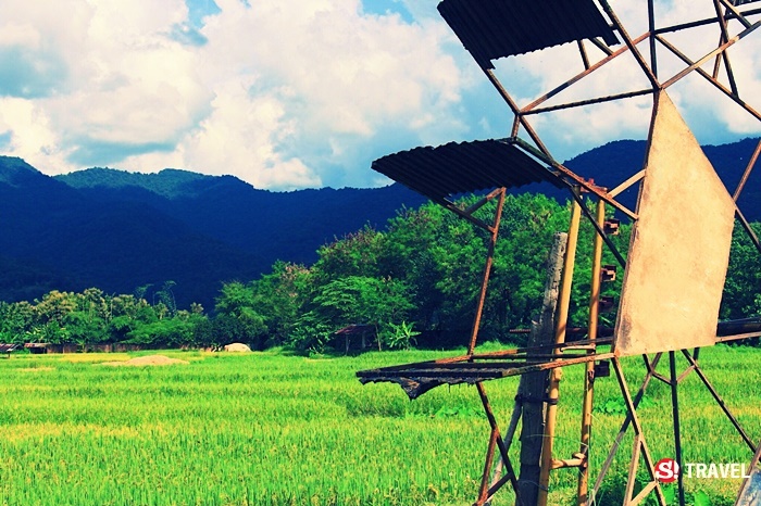 ลำดวนผ้าทอ กาแฟบ้านไทลื้อ ที่เที่ยวปัว จ.น่าน