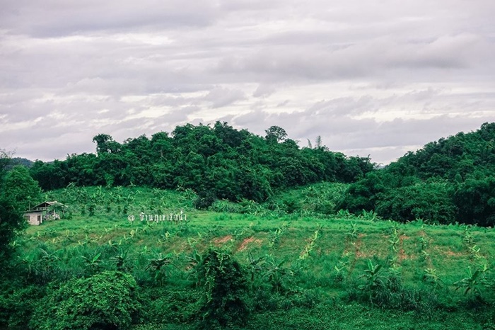 19059809_1308529469216629_310