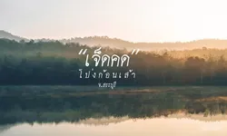 เจ็ดคด - โป่งก้อนเส้า ลานกางเต็นท์สุดชิลท่ามกลางธรรมชาติป่าไม้และสายน้ำ