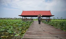 ล่องเรือเที่ยวคลองมหาสวัสดิ์ สัมผัสวิถีชีวิตคนริมน้ำ