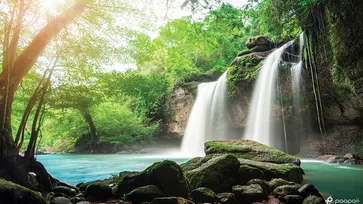 จัดทริป เที่ยววันหยุดสุดชิล ชมธรรมชาติ ที่เขาใหญ่