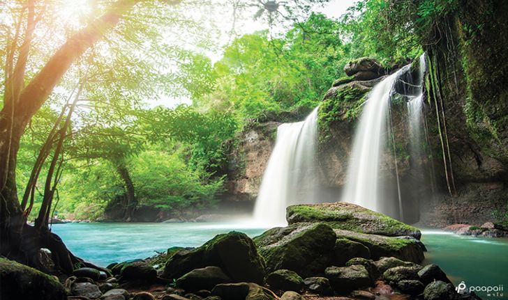 จัดทริป เที่ยววันหยุดสุดชิล ชมธรรมชาติ ที่เขาใหญ่