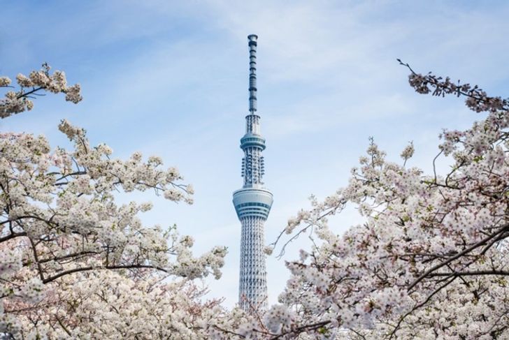 tokyo-skytree