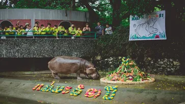 รวมภาพความประทับใจ "เขาดินในความทรงจำ" ก่อนจะกลายเป็นตำนาน