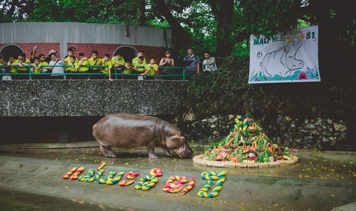 รวมภาพความประทับใจ "เขาดินในความทรงจำ" ก่อนจะกลายเป็นตำนาน