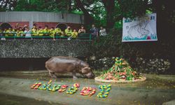 รวมภาพความประทับใจ "เขาดินในความทรงจำ" ก่อนจะกลายเป็นตำนาน