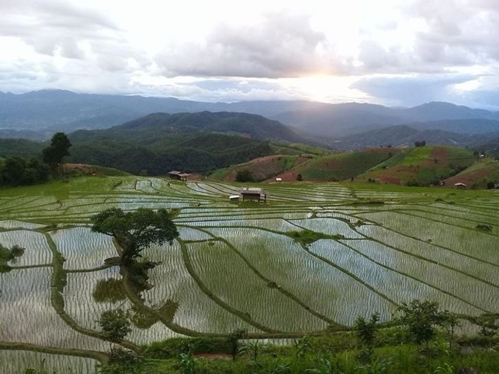 บ้านมาฉิโพ ที่พักป่าบงเปียง