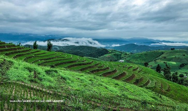 7 ที่พักป่าบงเปียง เชียงใหม่ นาขั้นบันไดสีเขียวขจีในช่วงปลายฝนต้นหนาว