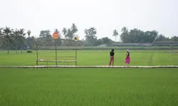 สะพานทุ่งนาบ้านฆ้องน้อย จุดแลนมาร์คใหม่ ชิลแบบนวัตวิถีใกล้กรุงเทพฯ