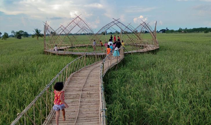 สะพานไม้ไผ่ดอกบัวกลางทุ่งนาแห่งโคราช แลนด์มาร์คแห่งใหม่ที่น่าไปถ่ายรูป