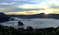 ทะเลหมอกภูลังกา หนึ่งในจุดชมวิวที่สวยที่สุดในเมืองไทย