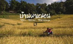 "บ้านผาหมอน" วิถีข้าว วิถีชาวนา วิถีปกาเกอะญอ