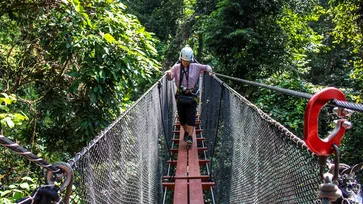 รีวิว DoiTung Tree Top Walk ท้าทายความกล้าบนทางเดินสกายวอล์คสูง 40 เมตร!!!