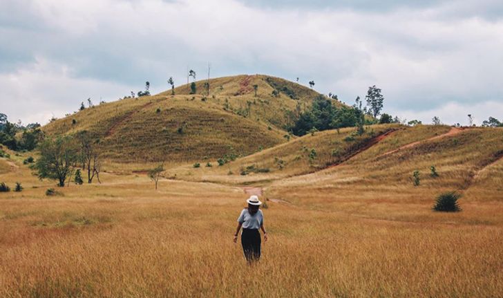 "ภูเขาหญ้า" โลเคชั่นสุดคูลที่เหมาะแก่การมาถ่ายรูป!