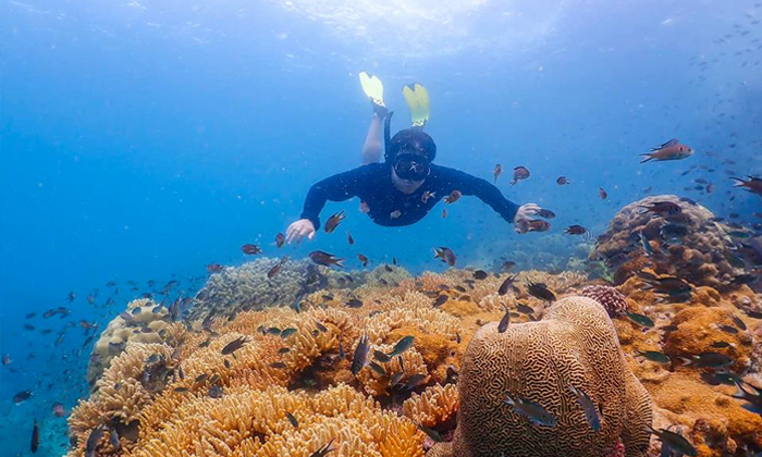 สำรวจโลกใต้ทะเล "อ่าวแสมสาร" ปะการังสวย น้ำทะเลใสใกล้กรุงเทพฯ