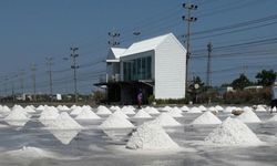 Salt Lake De Maeklong คาเฟ่แนวใหม่สุดชิคท่ามกลางนาเกลือ