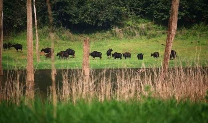 สำรวจฮาลาบาลา ผืนป่าที่สมบูรณ์ที่สุดของด้ามขวานไทย