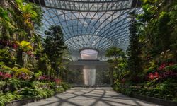 พาสำรวจ Jewel Changi Airport ศูนย์การค้าแห่งใหม่ในสนามบินสิงคโปร์