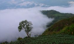 “เขาผ้าขาว” แหล่งท่องเที่ยวแห่งใหม่เขาค้อ ชมทะเลหมอกหน้าฝนสุดอลังการ