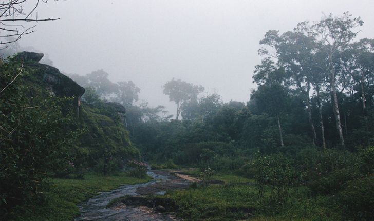 เตรียมตัวกันให้พร้อม! ก่อนออกไปเที่ยวให้ชุ่มฉ่ำในช่วงฤดูฝนกัน