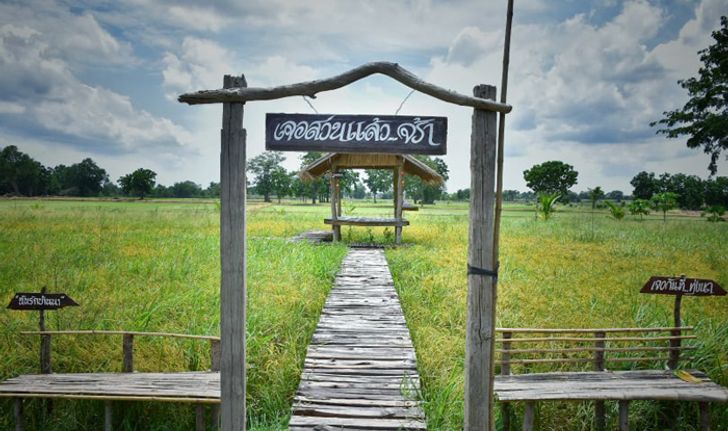 เดี๋ยวเจอสวน&คาเฟ่ ร้านอาหารริมทุ่งนาเปิดใหม่ล่าสุดของเมืองพิจิตร