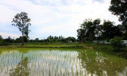 พักผ่อนท่ามกลางธรรมชาติในสวนเกษตรที่อุดรธานี