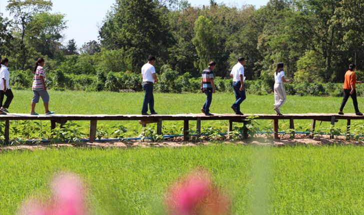 สะพานไม้ฟาร์มสุข แหล่งท่องเที่ยวใหม่ ใจกลางทุ่งนาโคราช