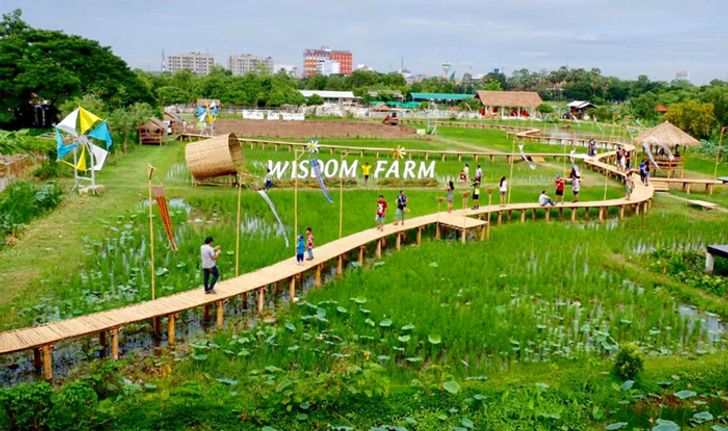 Wisdom Farm คาเฟ่สวยท่ามกลางธรรมชาติ ใกล้กรุงเทพฯ