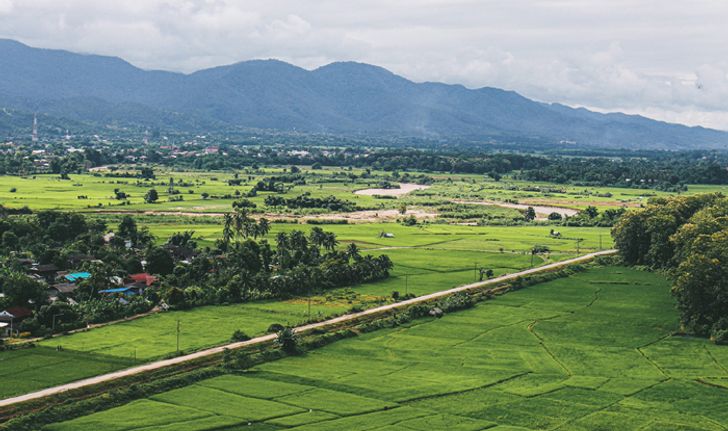 เที่ยวแม่สะเรียง ชม 2 พระธาตุสวยคู่เมือง ท่ามกลางทุ่งนาและป่าเขา