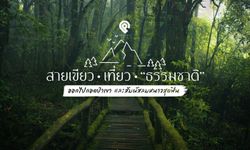 สายเขียว เที่ยว “ธรรมชาติ” ออกไปกอดป่าเขา และสัมผัสลมหนาวสุดฟิน