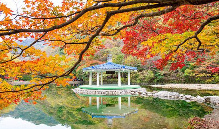 2019 ใบไม้เปลี่ยนสีที่เกาหลี เที่ยวไหนดี?
