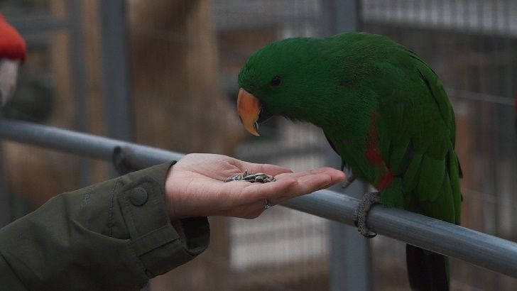 gyeongjubirdpark11