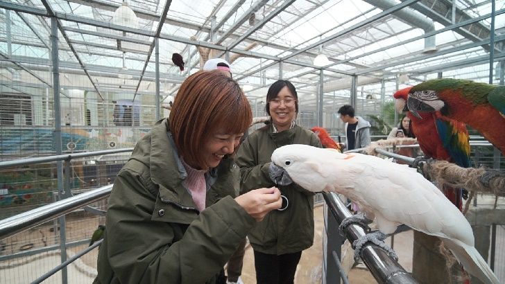 gyeongjubirdpark12