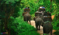 ทัวร์ปางช้างแม่สา นั่งช้างชมธรรมชาติแบบใกล้ชิด