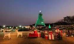 ปีใหม่นี้มาเชียงรายต้องแวะถ่ายรูปที่นี่! ต้นคริสต์มาสยักษ์จากขวดพลาสติก ที่สิงห์ปาร์ค เชียงราย