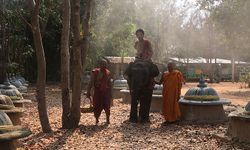 เรียนรู้วิถีชีวิตตำนานช้าง ที่สุสานช้างวัดป่าอาเจียง สุรินทร์