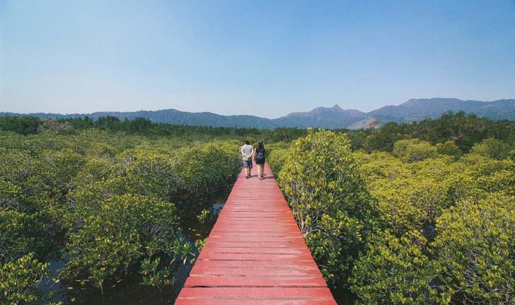 เกาะช้าง 3 วัน 2 คืน  ลุยเที่ยวจัดเต็ม ดำน้ำ เดินป่า ตามหาความงดงามสุดแผ่นดินตะวันออก