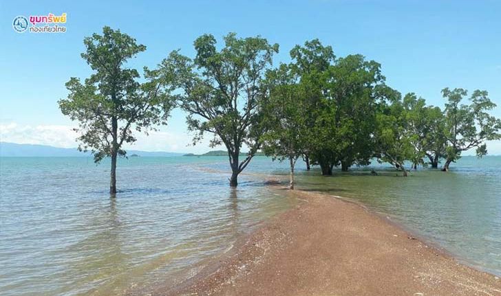 หาดสันหลังมังกรแดง 500 ล้านปี หนึ่งเดียวในประเทศที่จังหวัดสตูล