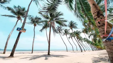 เผยภาพบางแสนในวันที่ไร้ซึ่งเตียงผ้าใบ สวยงามราวกับหาดไมอามี่!