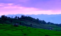 อุทยานแห่งชาติดอยอินทนนท์ เผยภาพความสวยงามธรรมชาติฟื้นตัว